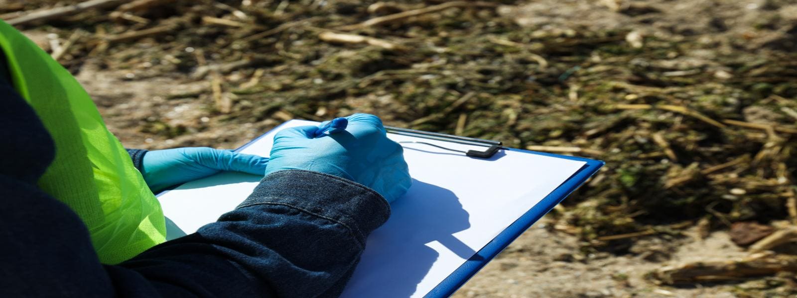 Knotweed Removal Service Booking